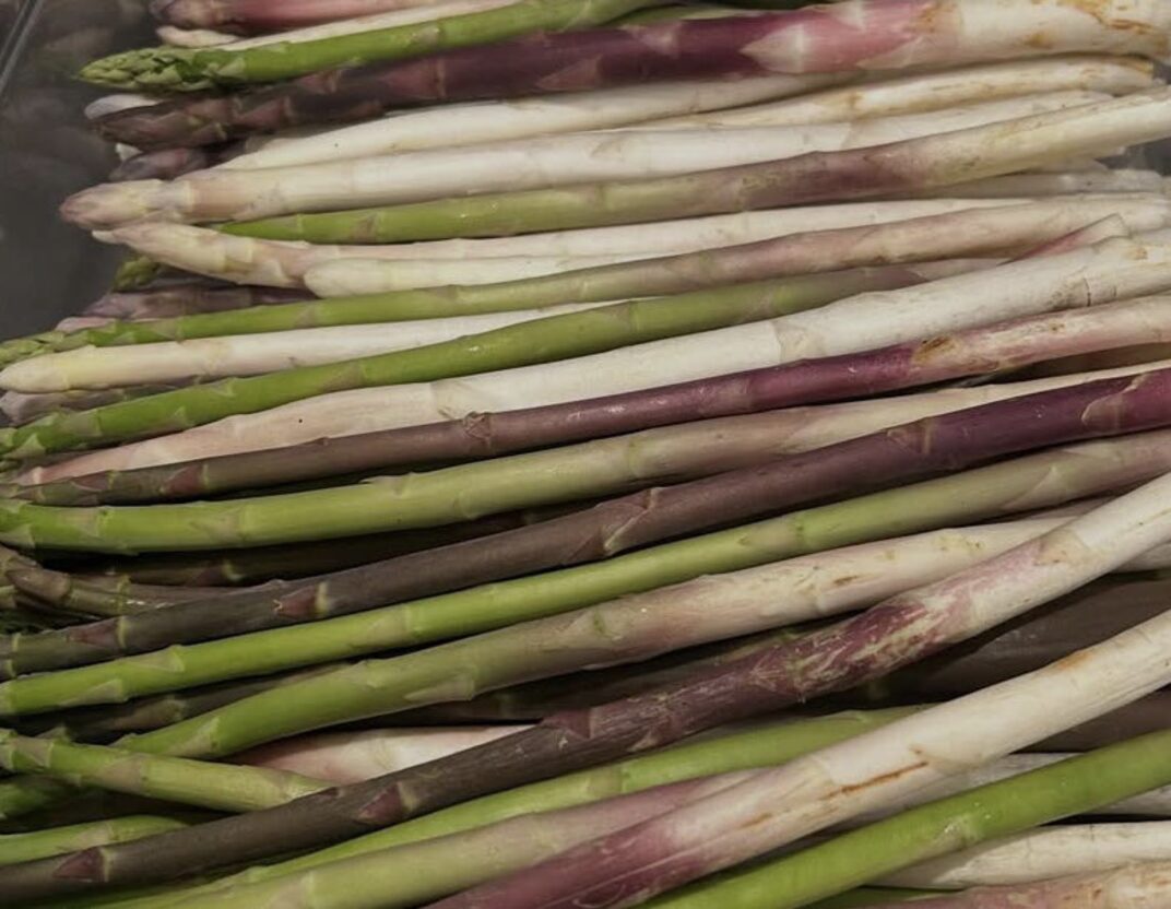Bundled white and purple asparagus